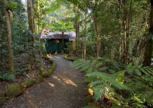 The Pinnacle on Lyrebird — photo 6